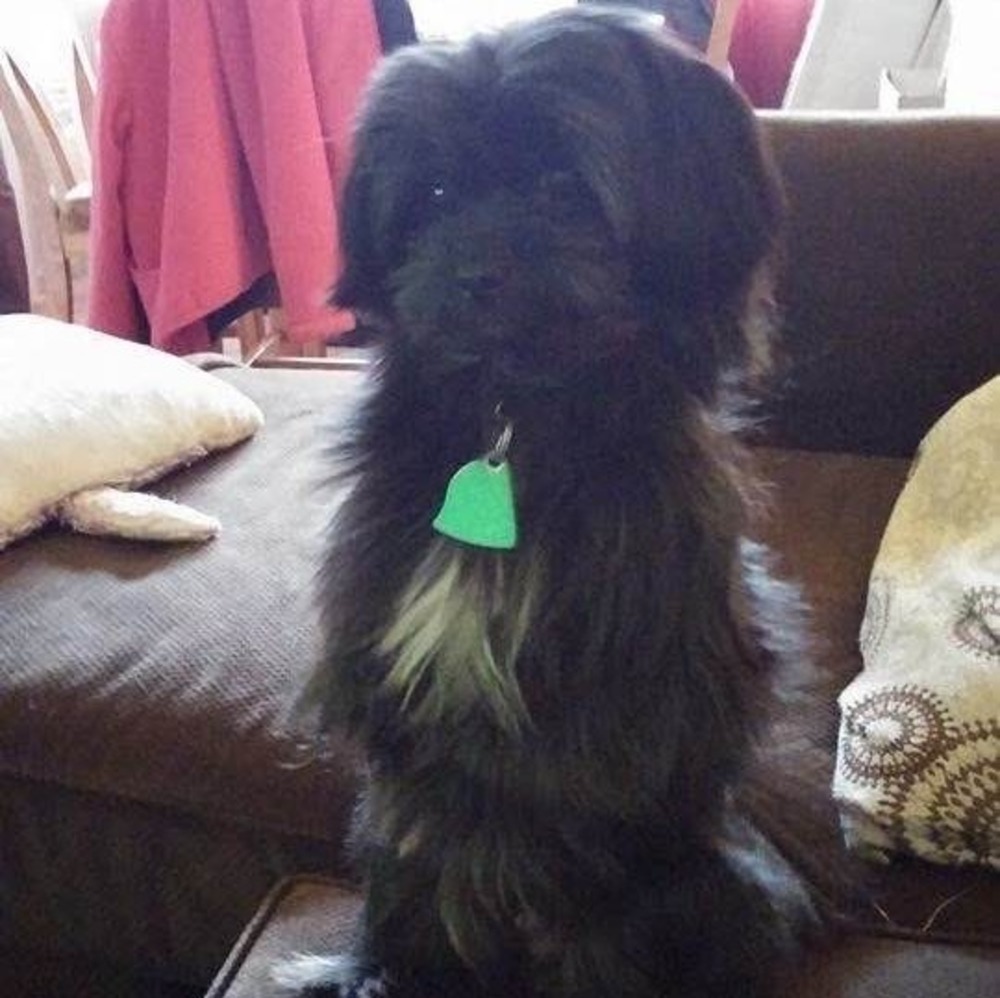 Meet your Posher, Karen